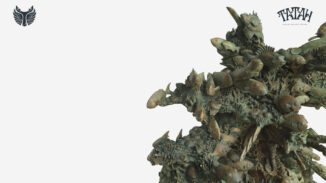 Uncategorized: Akar Biota Laut Jepara